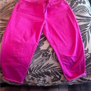 Talbots Fuchsia Slim Ankle Pants